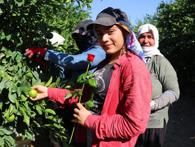 Dünya Kadın Çiftçiler Günü’nde tarlada çalışırken gül alan kadınlar şaşırdı