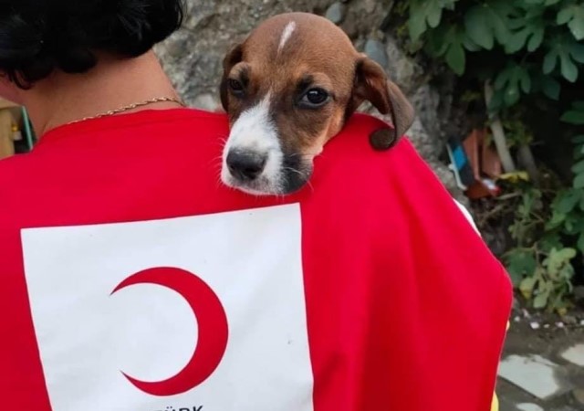 KIZILAY YANGIN BÖLGESİNDE YARALARI SARIYOR